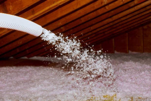 Best Cellulose Insulation in Milton, DE