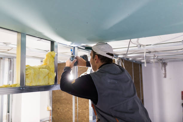 Best Geographic-Specific Insulation Services in Milton, DE