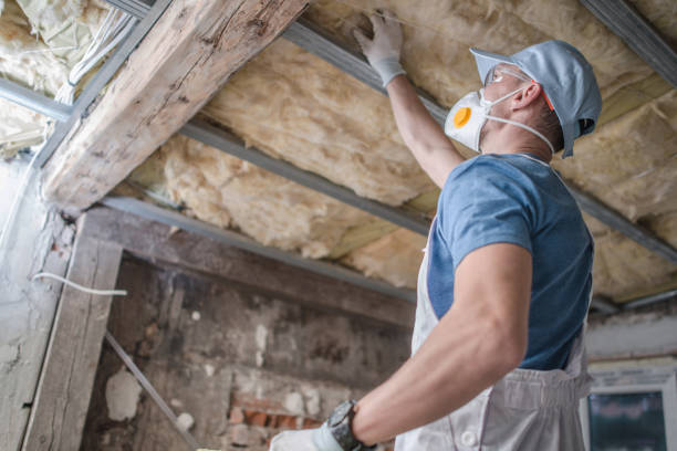 Best DIY Insulation Kits and Guidance in Milton, DE