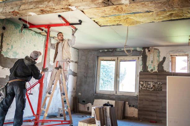Best Specialized Insulation Services in Milton, DE