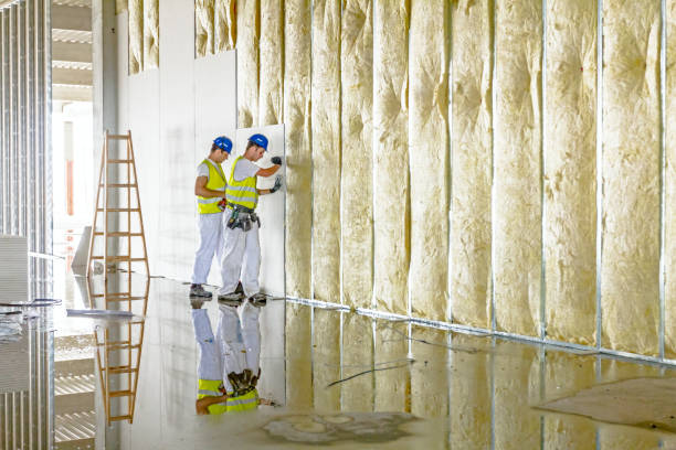 Best Insulation Maintenance and Repair in Milton, DE